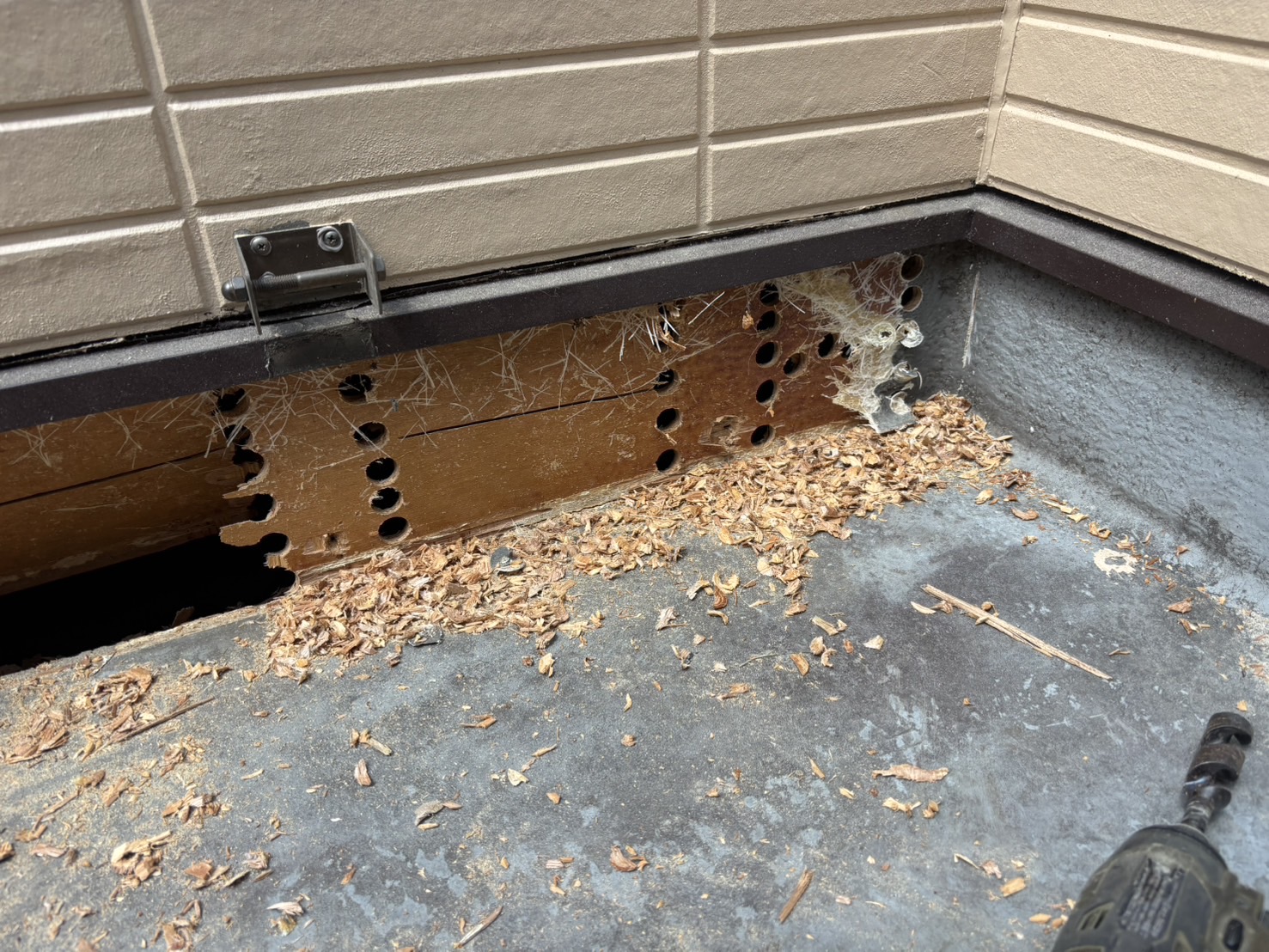 ベランダ清掃作業 before