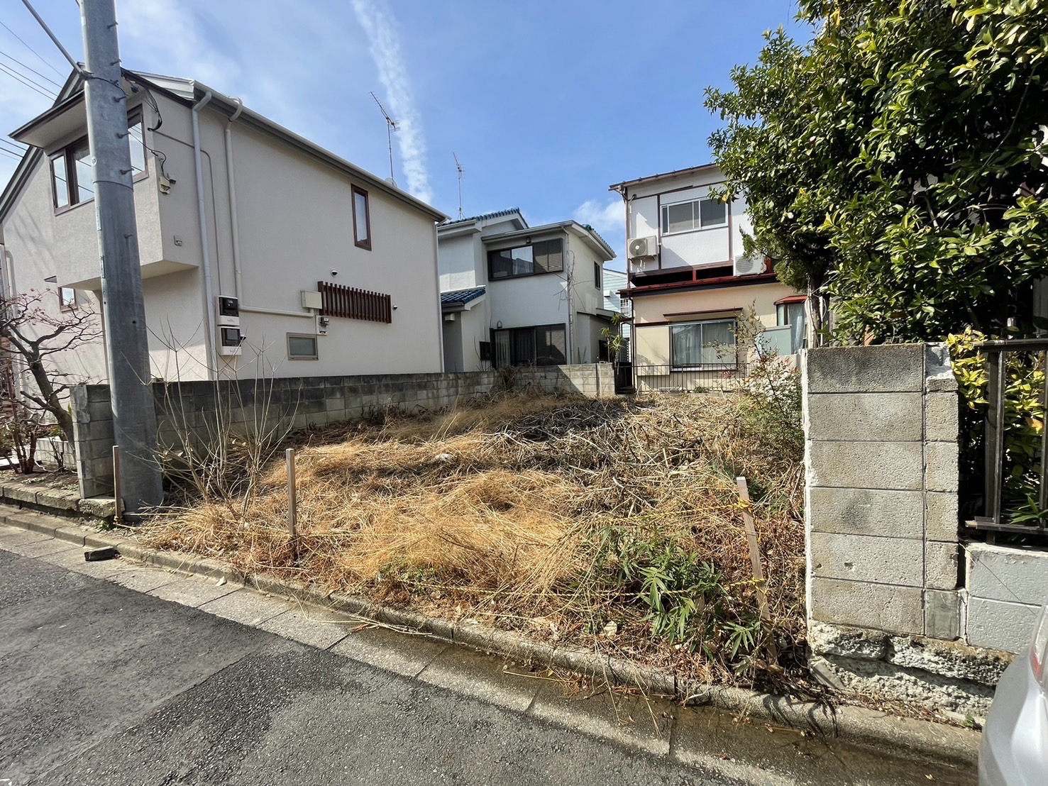 草刈り作業 before